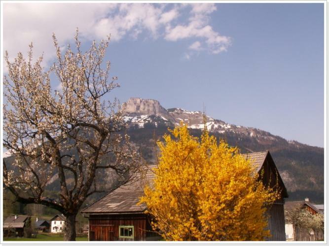 Ferienwohnung Haus Einhirn Altaussee Buitenkant foto